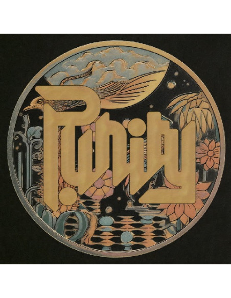 P Unity - No Coders (Lp 180 Gr Black Vinyl)