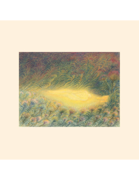 Sofie Birch and Antonina Nowacka - Languoria