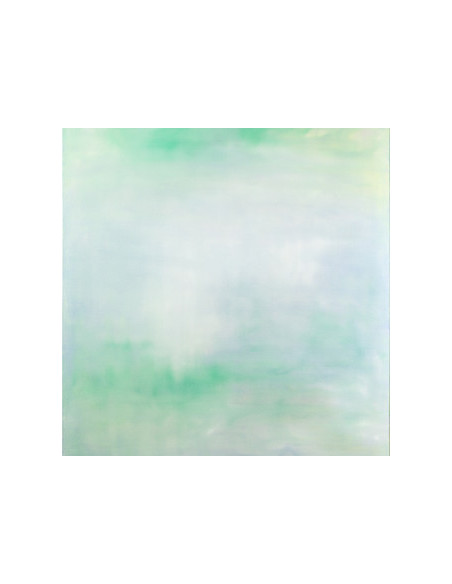 Chihei Hatakeyama - Hachirogata Lake