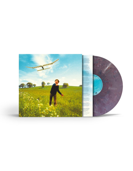 Blunt James - Who We Used To Be (Vinile Riciclato)