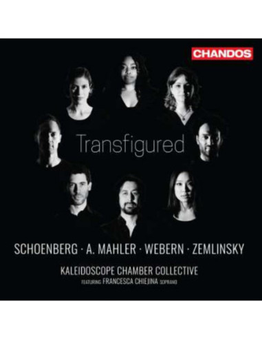Kaleidoscope Chamber - Transfigured -...