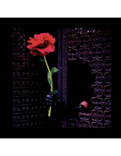 Crush Of Souls - (A) Void Love (Smoked Edition)