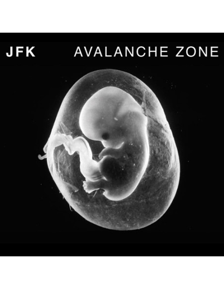 Jfk - Avalanche Zone - (CD)
