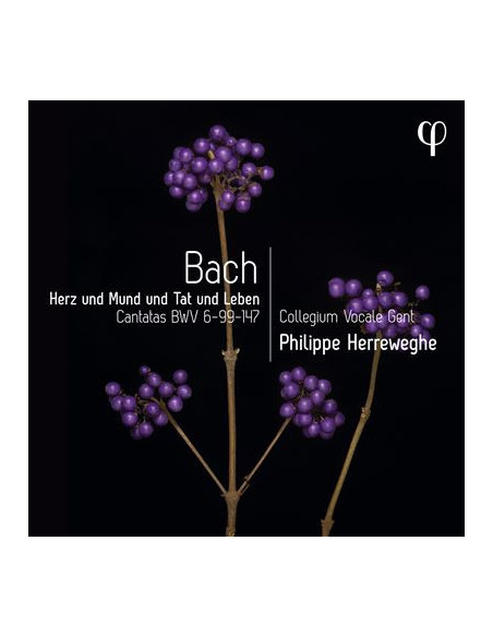 Herrewege Philippe - Herz Und Mund Und Tat Und Leben - (CD)