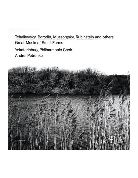 Petrenko Andrei - Great Music Of Small Forms - (CD)