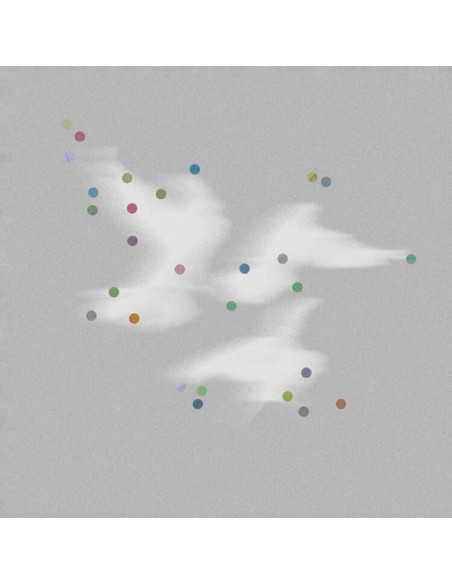 Godblesscomputers - Godblesscomputers-Faded Views Lp Vinyl