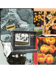 Thank You, I M Sorry - Growing In Strange Places