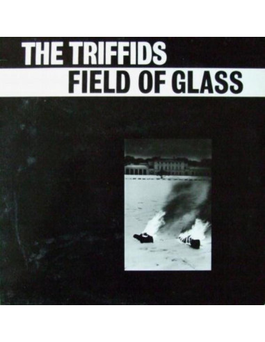 The Triffids - Field Of Glass (Ep) Vinile