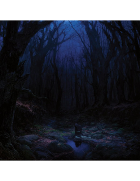 Woods Of Desolation - Torn Beyond Reason - (CD)