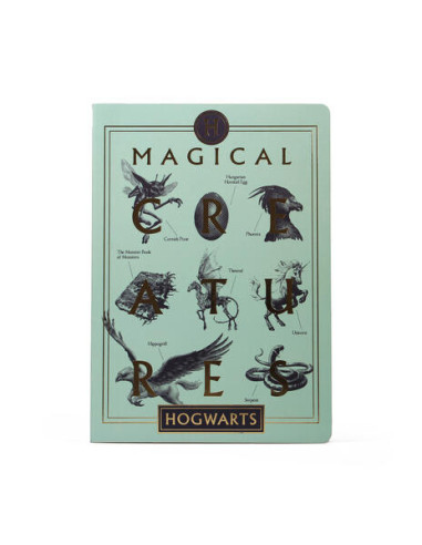 Harry Potter: Half Moon Bay - Criaturas Magicas (Quaderno A5 Flexi)