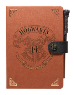 Harry Potter: Grupo Erik (Set Quaderno A5 Con Penna)