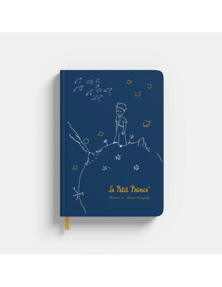 Little Prince (The) (Quaderno Premium A5)