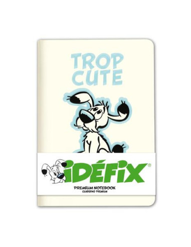Asterix & Obelix: Grupo Erik -...