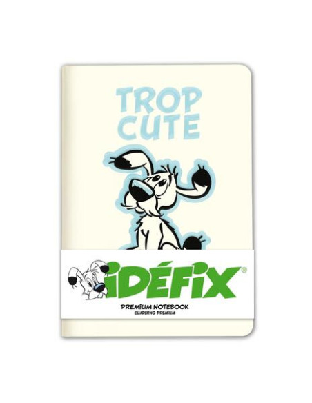 Asterix & Obelix: Grupo Erik - Ideafix (Quaderno Premium A5