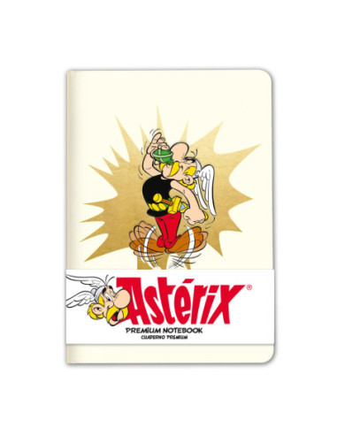 Asterix & Obelix: Grupo Erik - Magic...