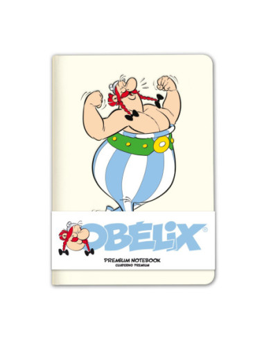 Asterix & Obelix: Grupo Erik...