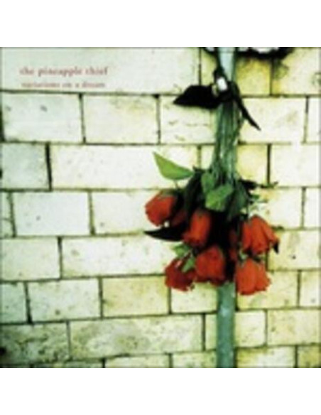Pineapple Thief The - Variations On A Dream - (CD)