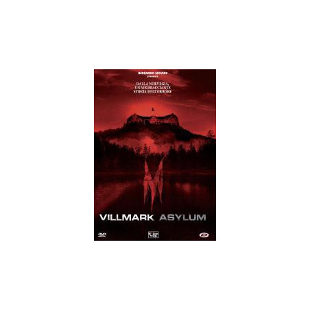 Villmark Asylum