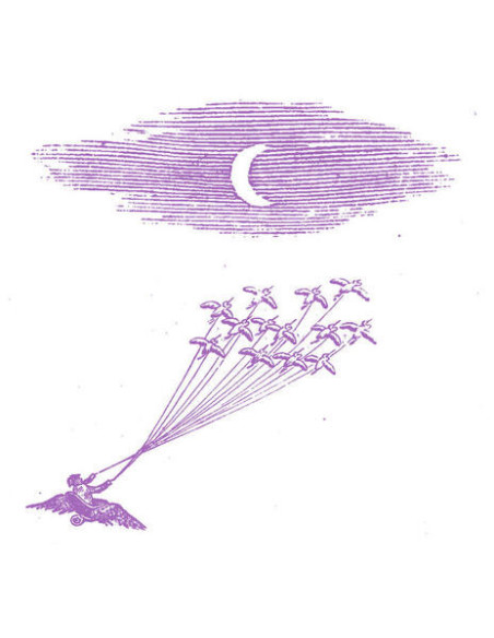 Feeling Figures - Migration Magic