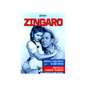 Zingaro