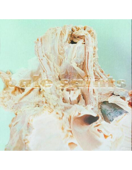 Pale Saints - In Ribbons Deluxe