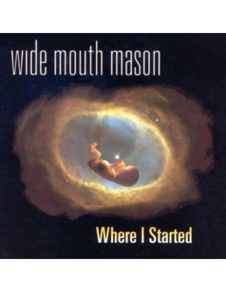 Wide Mouth Mason - Where I Started