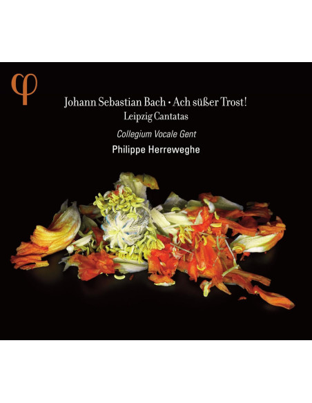 Collegium Vocale Gent - Ach Suber Trost - (CD)