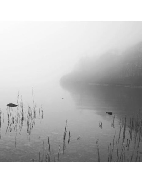Dakota Suite - This River Only Brings Poison