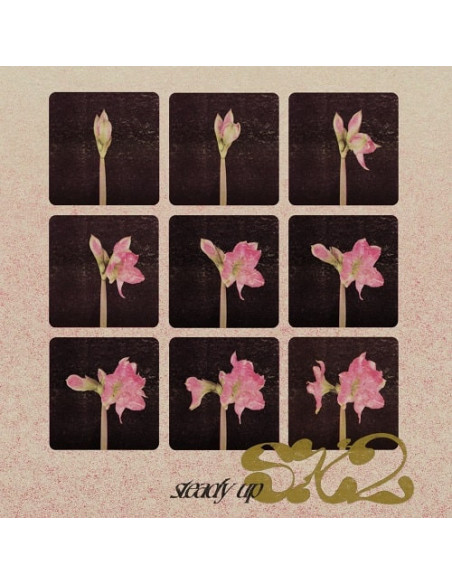 Sx2 - Sx2-Steady Up 12p Vinyl