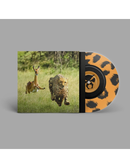 Thundercat and Tame Im - Thundercat and Tame Impala-No More Lies 7p