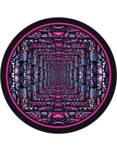 Jay Farina and Quinzi - Jay Farina and Quinzi-Pumpin The Junk 12p