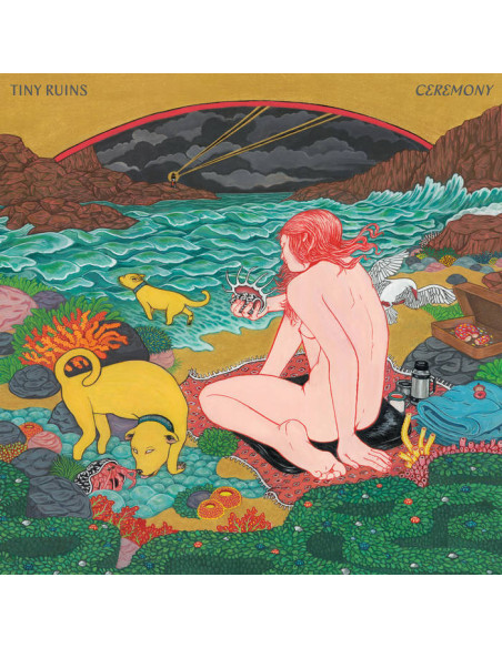 Tiny Ruins - Ceremony
