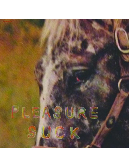 Spirit Of The Beehiv - Pleasure Suck - Clear Orange Vinyl