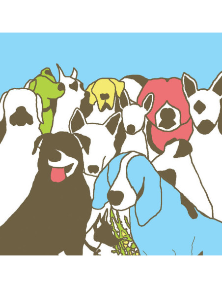 Format - Dog Problems