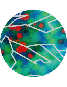 Carlo Maria - Carlo Maria-Inverno 12p Vinyl