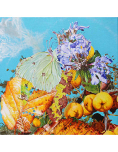 Bennett Wilson Poole - I Saw A Star Behind Your Eyes, Don T Let