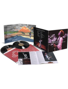 Dylan, Bob - Another Budokan 1978