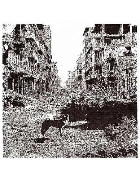 Vox Low - Keep On Falling - (CD)