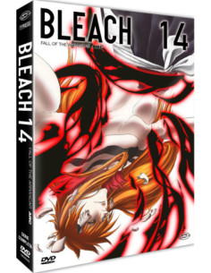 Bleach - Arc 14 Part 1: Fall Of The Arrancar (Eps. 266-291) (4 Dvd) (First Press)