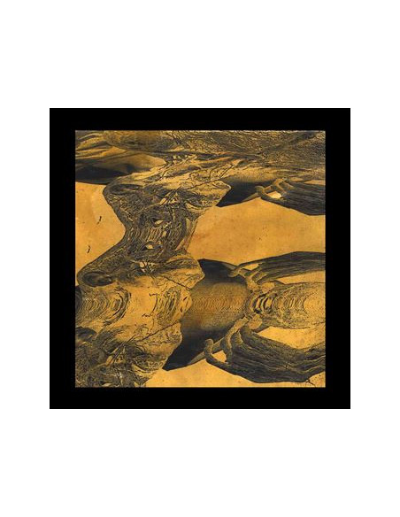 Tashi Dorji - Self Titled