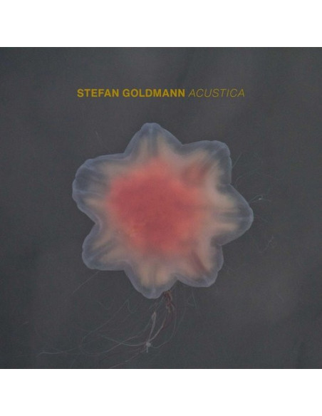 Goldmann, Stefan - Acustica - (CD)