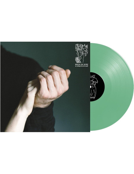 Birds In Row - We Already Lost The World - Mint Vinyl