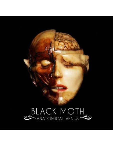 Black Moth - Anatomical Venus
