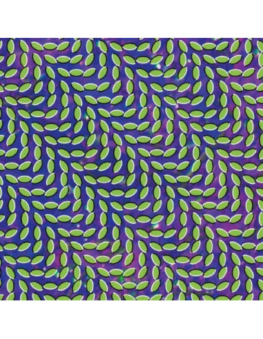 Animal Collective - Merriweather Post...