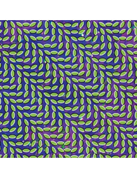 Animal Collective - Merriweather Post Pavillion