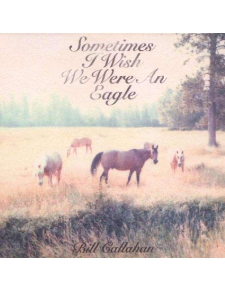 Callahan Bill - Sometimes I Wish We Were An Eagle