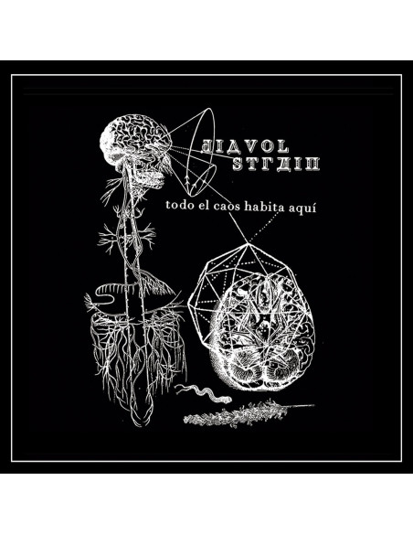Diavol Strain - Todo El Caos Habita Aqui