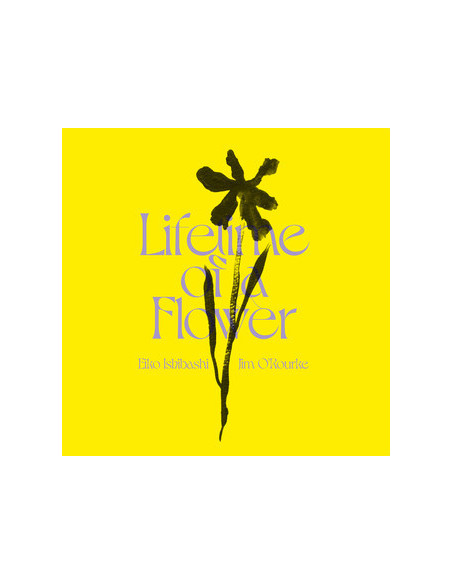 Eiko Ishibashi, Jim O'Rourke - Lifetime Of A Flower