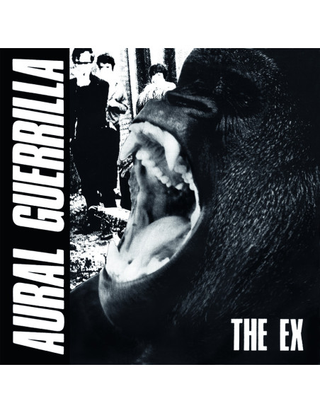 Ex - Aural Guerrilla