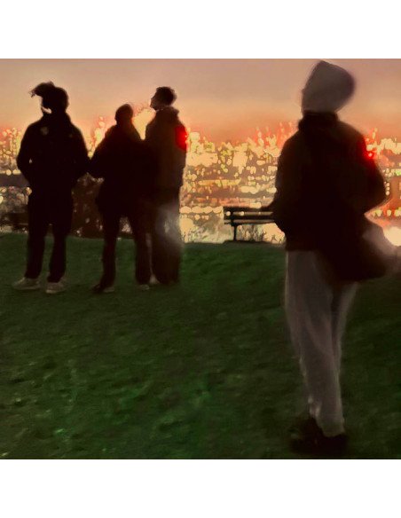 Fred Again.. and Brian Eno - Secret Life